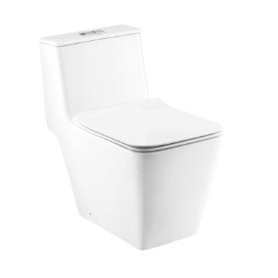 C63077 S-TRAP SIMPLY MODISH WATER CLOSET - C10327