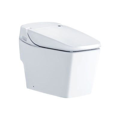 C63227 TUNIO BOWL - C10227