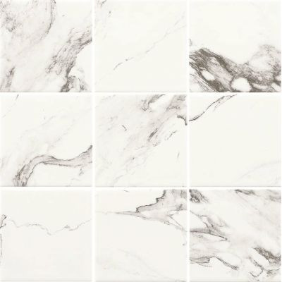 4SR1 CALACATTA (CASE) (A) (DM)