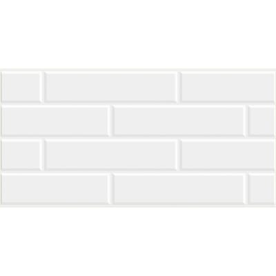 300X600MM WM36505C (A) (BMS)